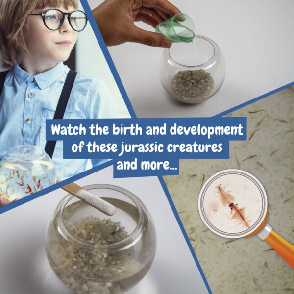 Jurassic Pets Kit II. Vzdelávacia hra pre deti dodáva sa s darčekovou taškou z kraftového papiera (115 g/m²), vyrobený z materiálu certifikovaného FSC™ a iných kontrolovaných materiálov v slonovinovej kosti