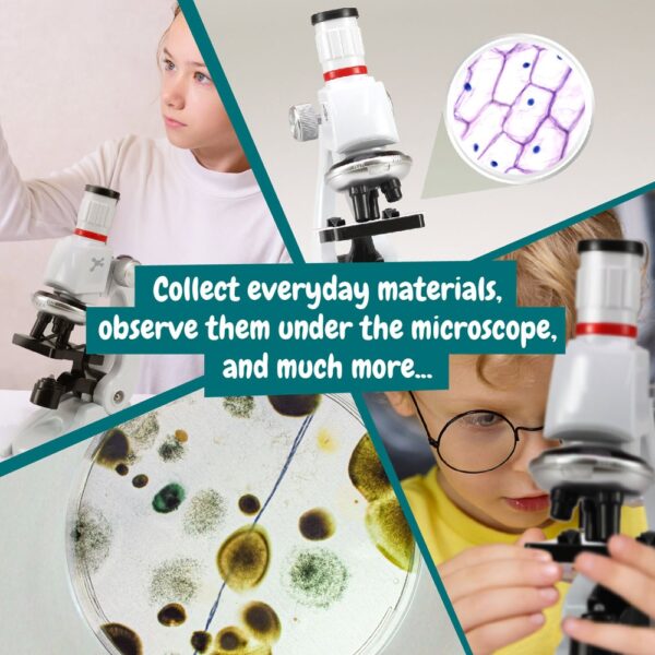 MICROSCOPE. Vzdelávacia hra pre deti